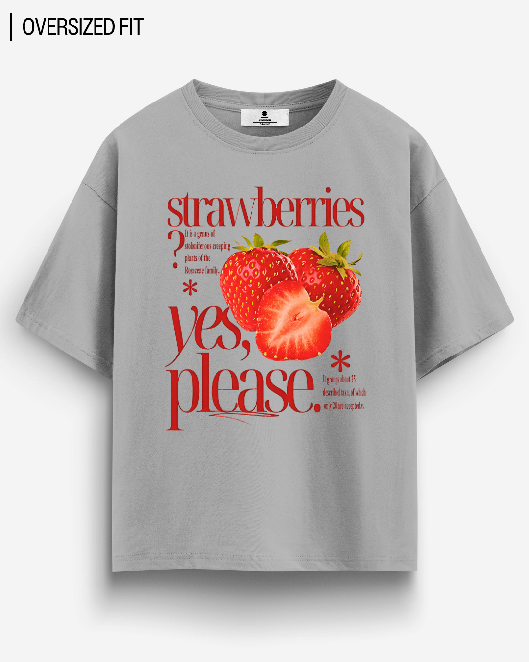 STRAWBERRIES OVERSIZED T-SHIRT